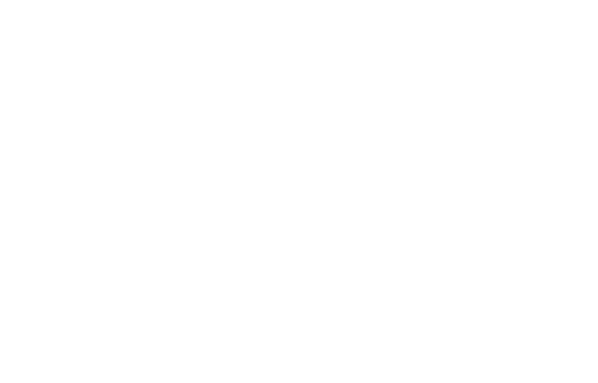 BI-1920 which serves as a negative control