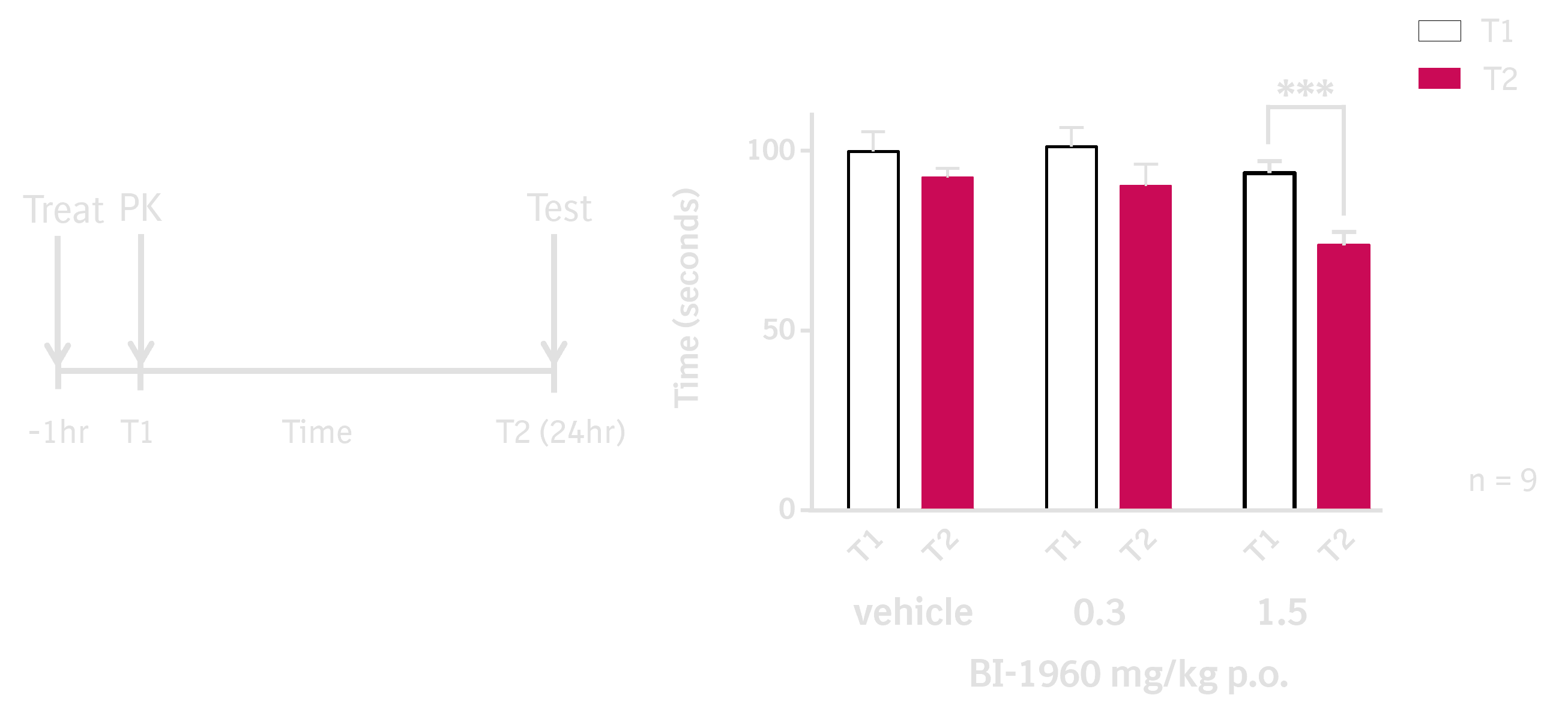 Effects of BI-1960 in the rat social recognition test