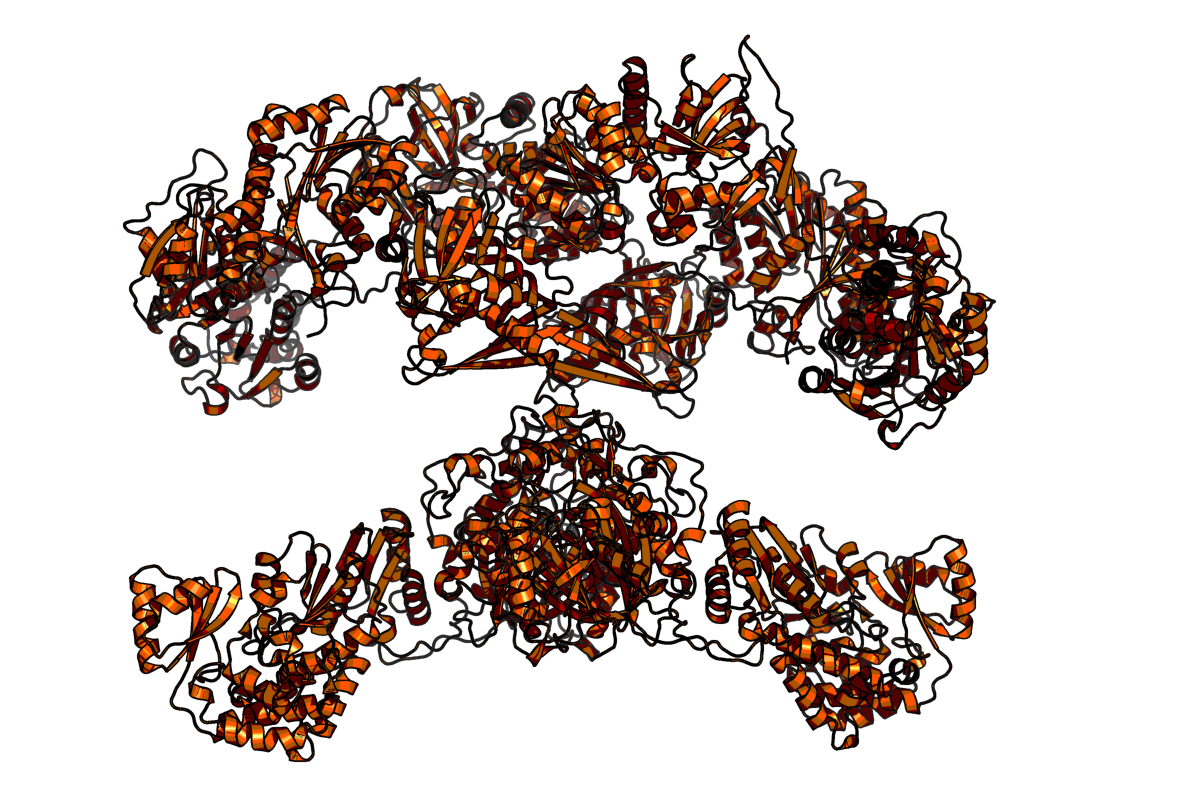 Structure of full length fatty acid synthase, (PDB code: 2vz9.pdb).