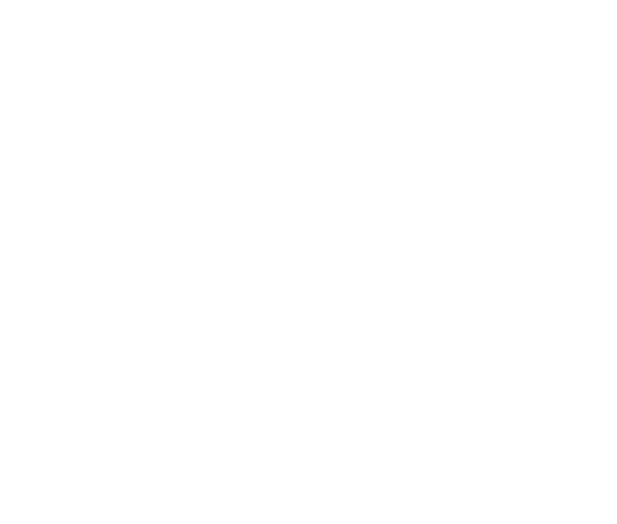 BI-25CL which serves as a negative control