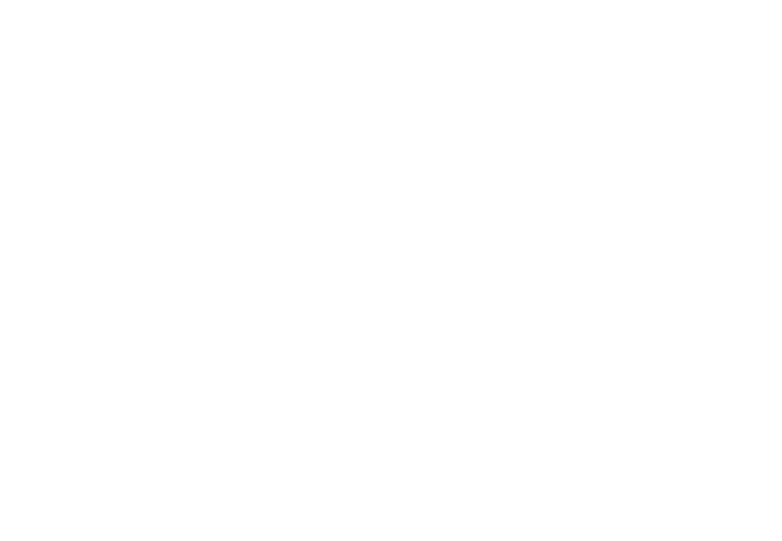 BI-1675, negative control