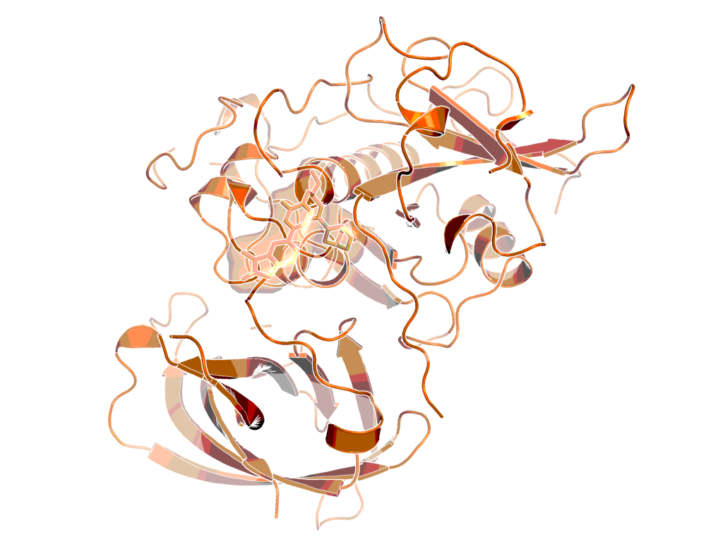 BI-9740, 3-D conformation co-crystalized in the CatC protein