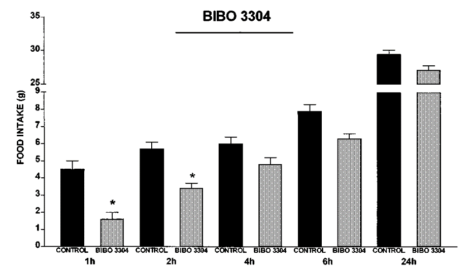 Effect of 30 µg of BIBO3304 (15 µg, bilateral) on food in 24 h fasted rats (n = 12)