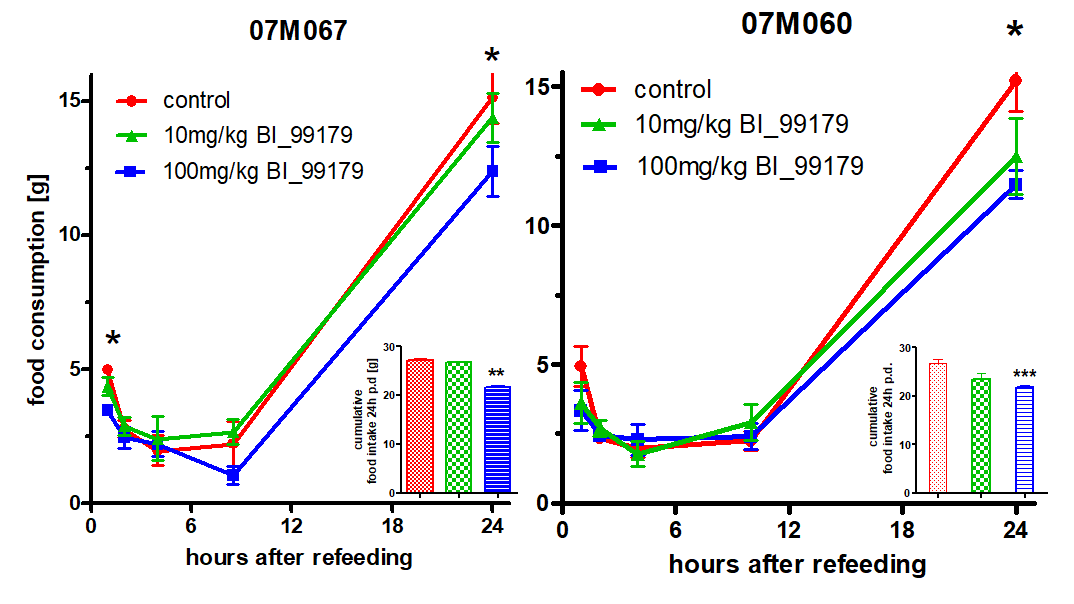 Pharmacologic POC in Han Wistar rats; Food intake with refeeding after 24h fast