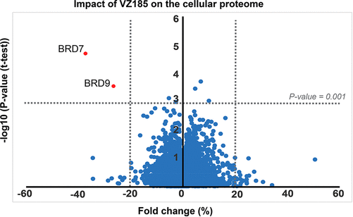 Impact of VZ185 on the cellular proteome