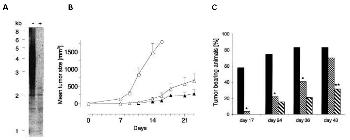 Tumorgenicity assay