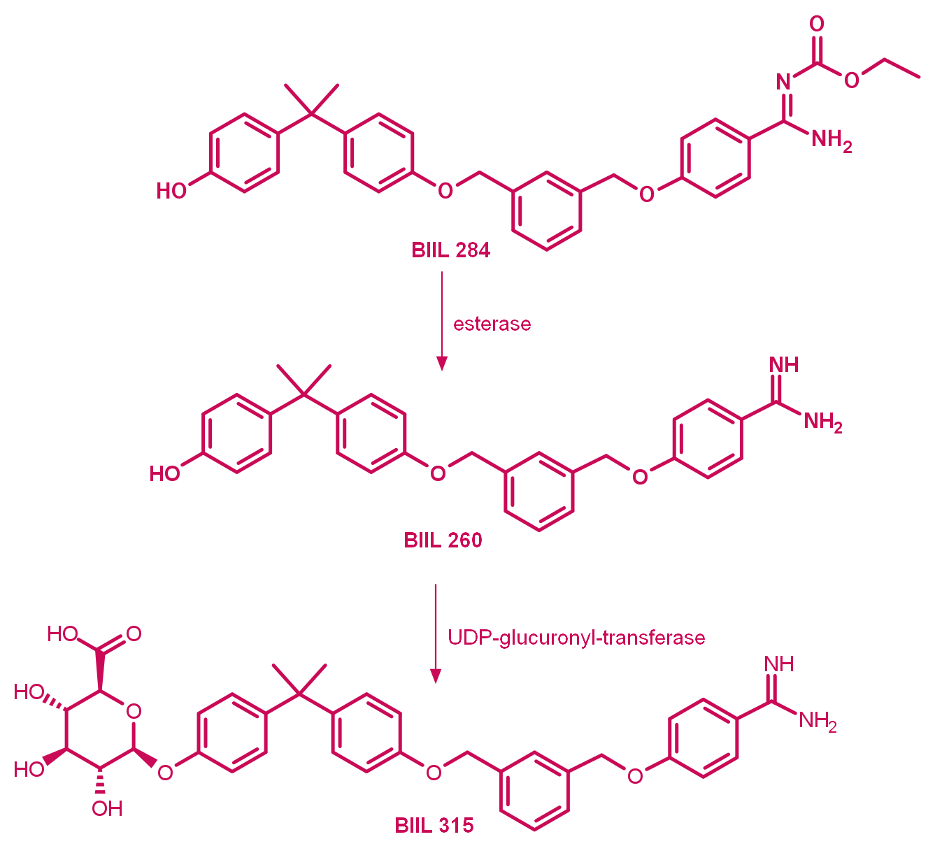 Metabolism of prodrug BIIL 284 to BIIL 315