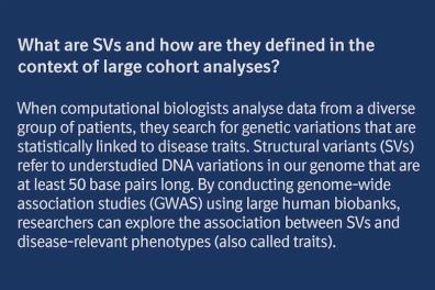 What are SVs and how are they defined in the context of large cohort analyses?