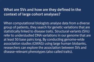 What are SVs and how are they defined in the context of large cohort analyses?