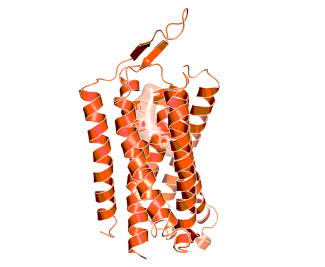 Transmembrane domain of mGluR1 in complex with a negative allosteric modulator