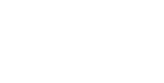 BI-9534 which serves as a negative control