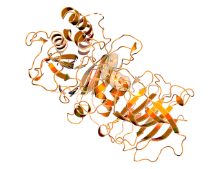 Model of the binding mode of BI-4122 in complex with vanin based on the X-ray structure with a closely related ligand