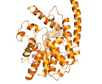Model of the complex of PDE9 with BI409306