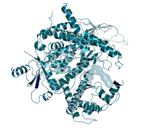 X-ray structure of PI3Kγ in complex with BI-9222