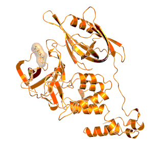 X-ray structure of the complex of CRBN with lenalidomide (PDB code: 5FQD), indicating the binding location of a small molecule “degrader”.