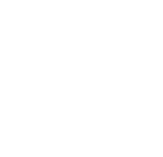 BI-5330 which serves as a negative control