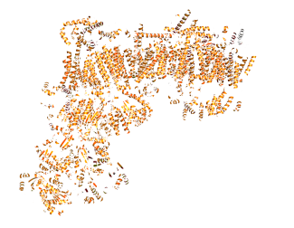 Cryo-EM structure of the multi-subunit Complex-I from human mitochondria