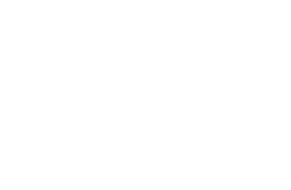 BI-6227 which serves as a negative control