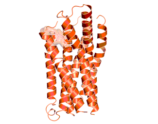 Bound conformation of the active BI-8310 enantiomer