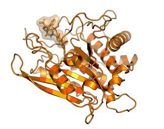 Model of the complex of BI-3614 with QPCTL