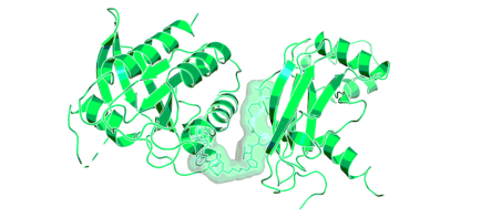 X-ray structure of the complex of ACBI4