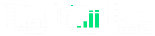 Modulation of GDF15 protein