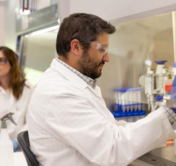 Image of Developing translational models for immunotherapy-resistant lung cancer