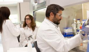 Image of Developing translational models for immunotherapy-resistant lung cancer