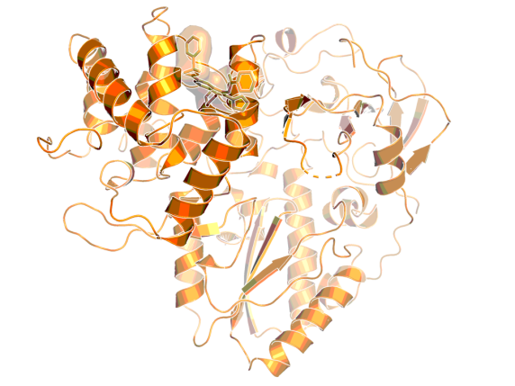 3D image of HCV polymerase inhibitor - BI-0588