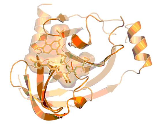 3D image of HCV protease inhibitor - BI-1388