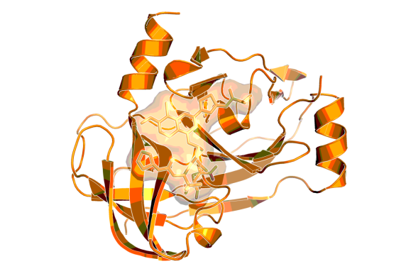3D image of HCV protease inhibitor faldaprevir - BI 201335