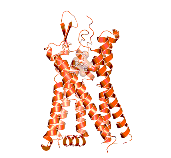 3D image of Bepafant - PAF Receptor Antagonist