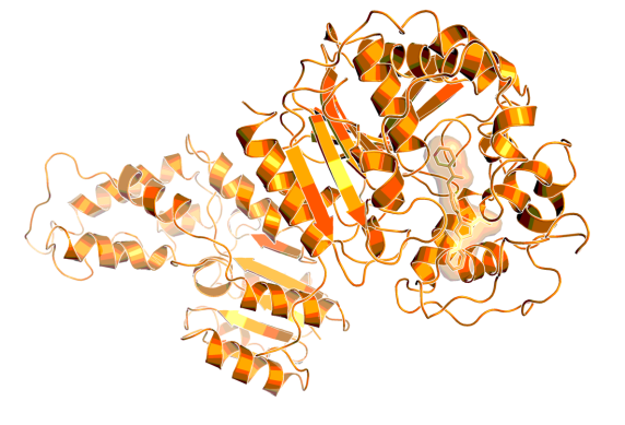 3D image of sEH inhibitor - BI-1935