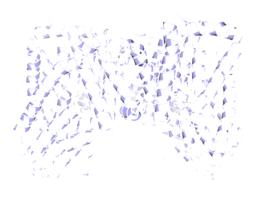 3D image of SLC13A5 Inhibitor - BI01383298