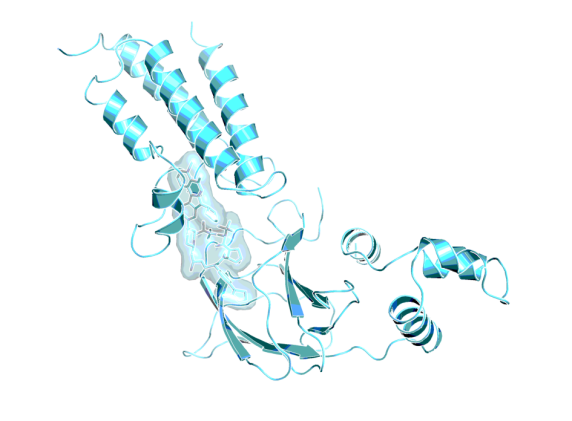 3D image of SMARCA2 PROTAC | ACBI2