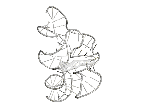 3D image of TPP Riboswitch activator ǀ BI-5232