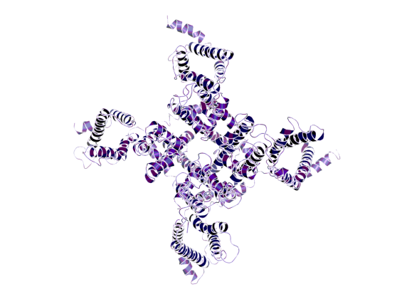 23 image of NaV 1.1 activator | BI-7150
