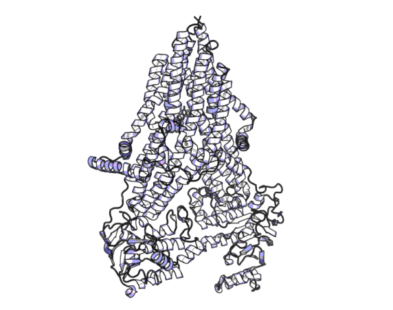 23 image of multidrug resistant protein 4 inhibitor | BI-4926