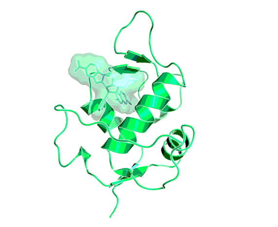 3D image of MDM2–p53 antagonist