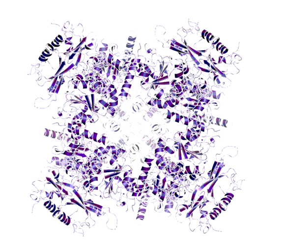 3D image of Slowpoke 1 (SLO-1) channel agonist