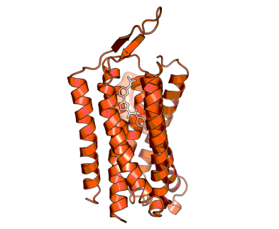 3D image of mGluR1 Positive Allosteric Modulator | BI02982816
