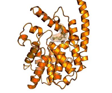 3D image of PDE9 inhibitor | BI 409306