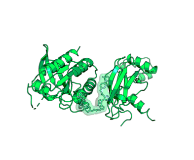 3D image of pan-KRAS(on) PROTAC | ACBI4 